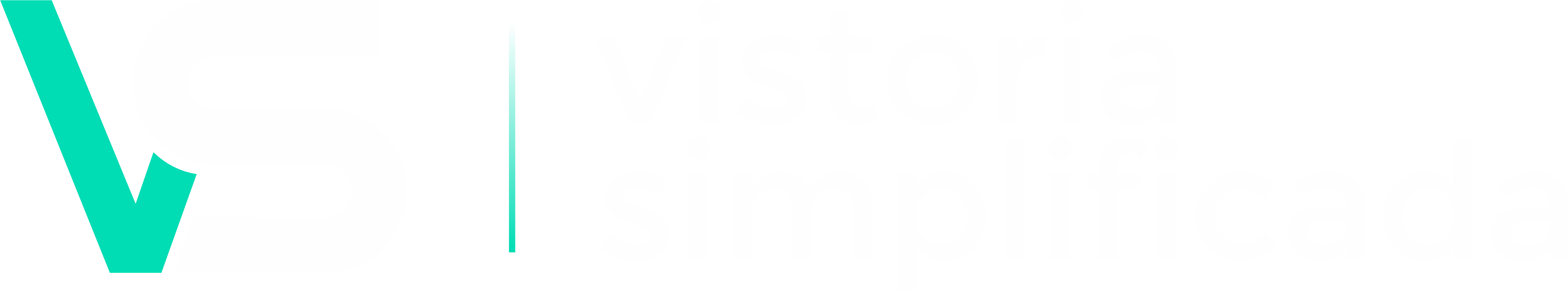 VS - Vistoria Simplificada